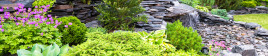 Lush vegetation surrounds a small rock waterfall and pond