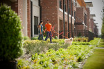 Couple walking fluffy white dog in front of red brick townhomes