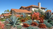 Xeriscaping plants in the front yard of a home