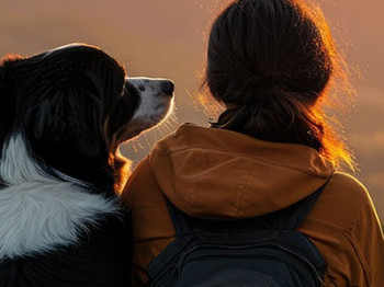 16 dog breeds that make ideal outdoor companions