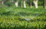 Giving up your beautiful lawn is not the only way to help conserve during a drought. 