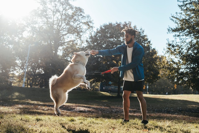 Dog Owners Exercise More