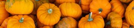 A pile of bright orange miniature pumpkins