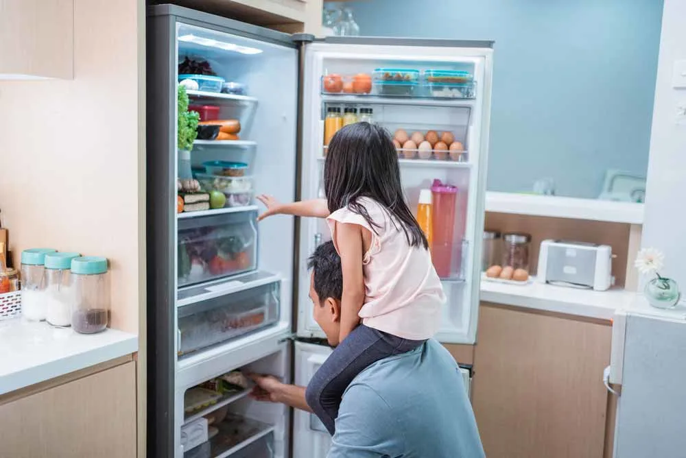 fridges-verbruik