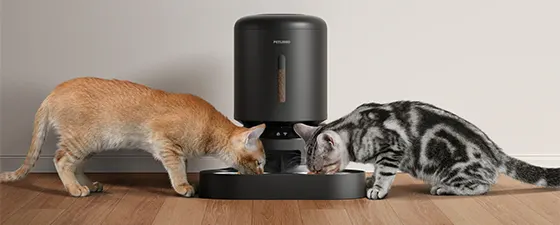 Dieren
