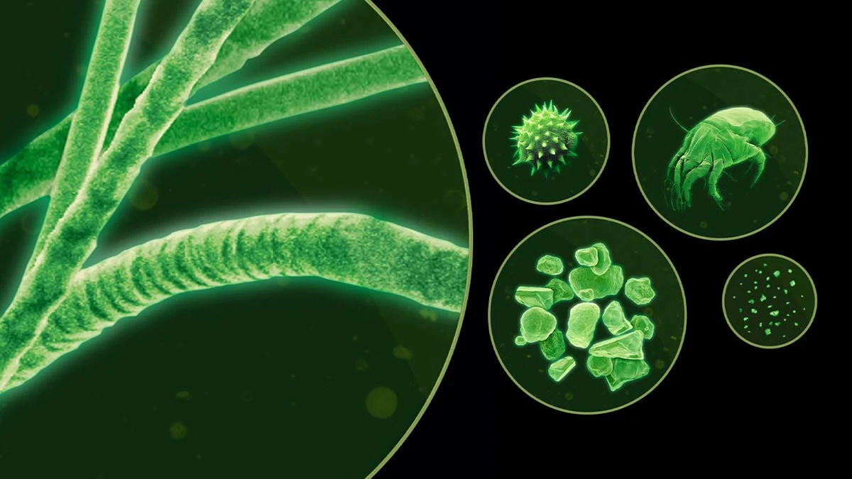 Multi-stage advanced filtration