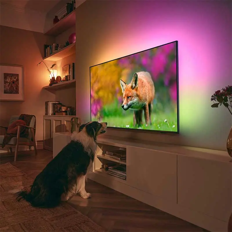 the-one-ambilight