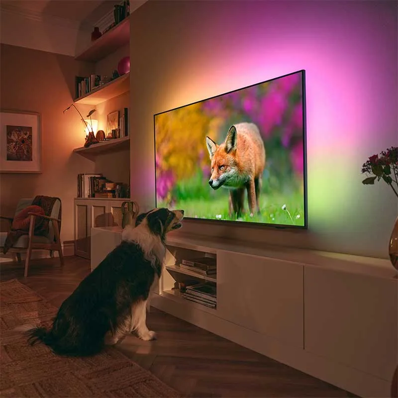 the-one-ambilight