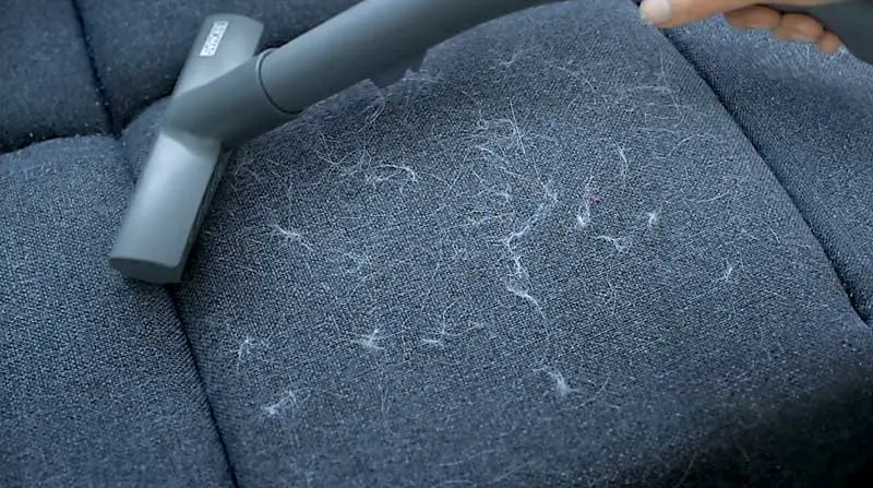 THOMAS-POLSTERDUESE-HAARE