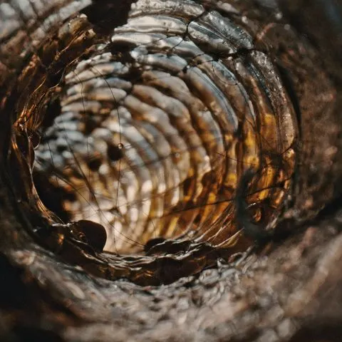 Web N911 PDP M4 Filter-Image-4E