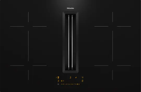 Kookplaat met dampkap