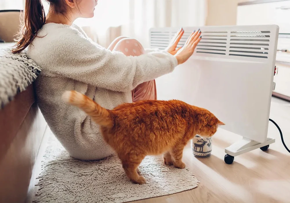 leaderboard-chauffage-electrique-lifestyle