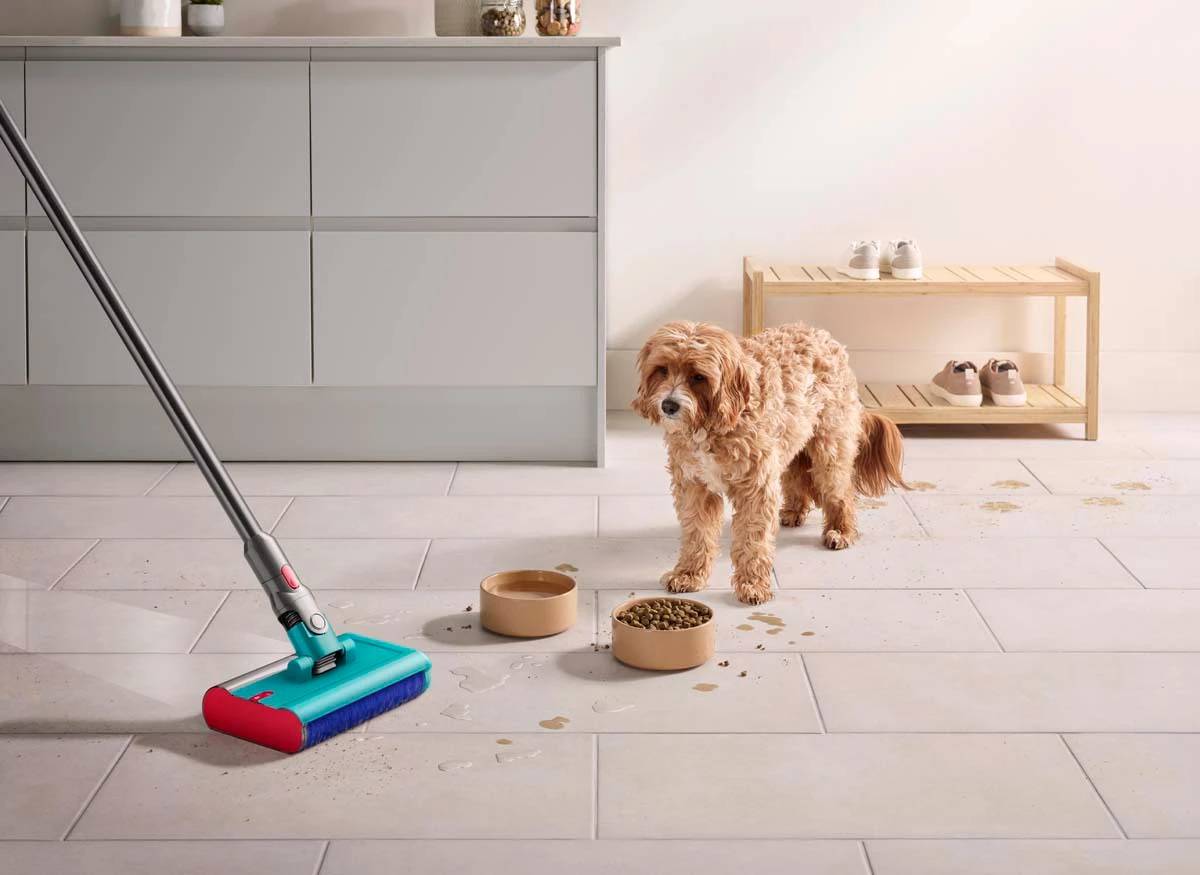 Pet mess