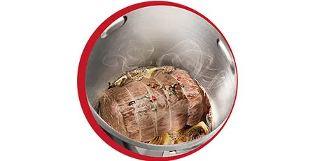 Moulinex Companion XL