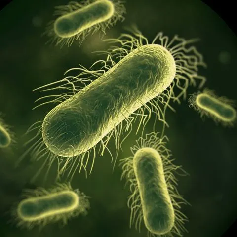 Web N911 PDP M4 Filter-Image-4C