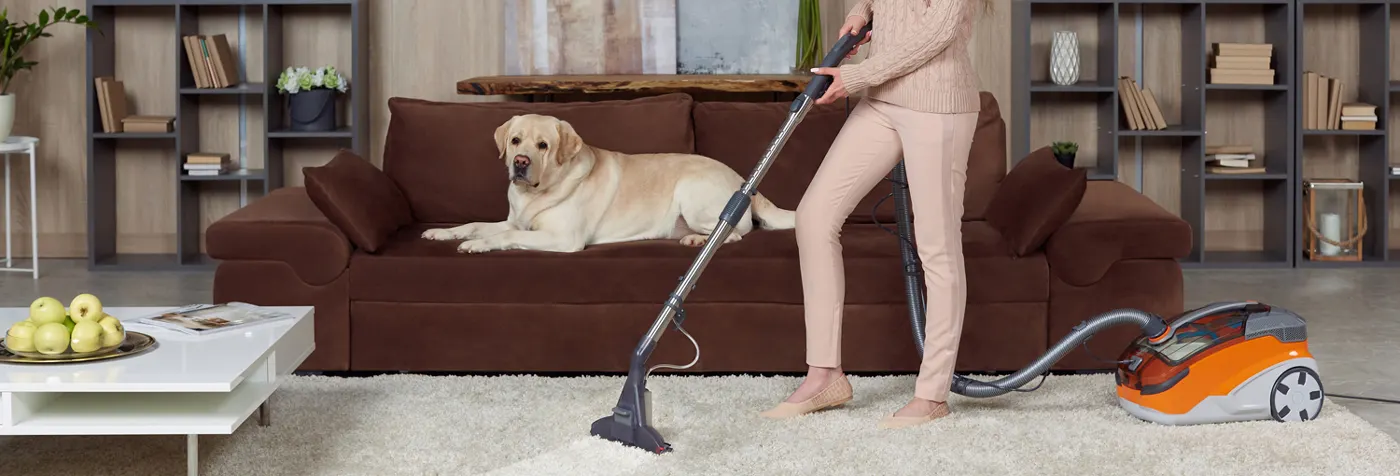 SDA-HC-Thomas-vacuum-page-Banner