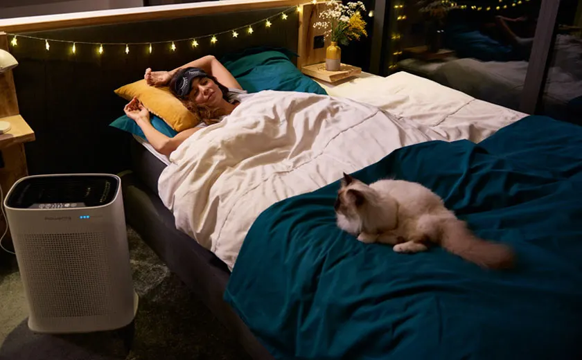 SDA-luchtreinigers-advies-huisstofmijt