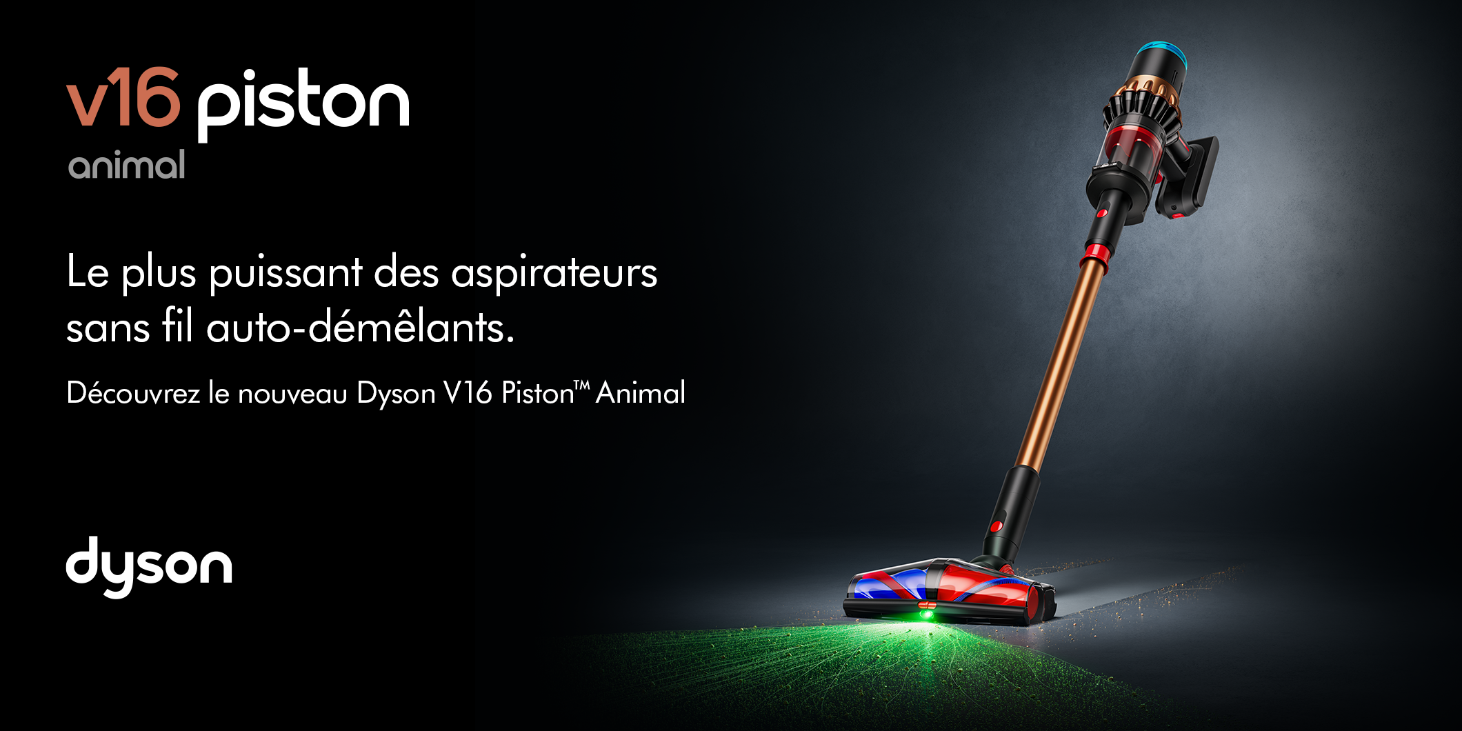 Dyson V16 Piston Animal