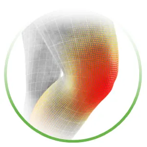 knie-3