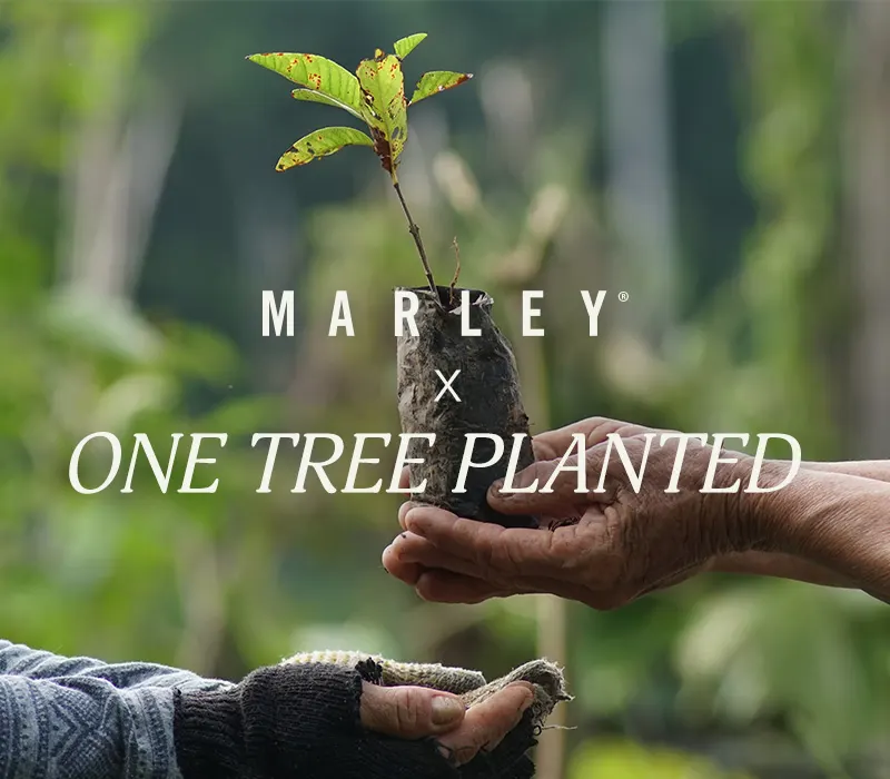 HIF-House-Of-Marley-Image-1