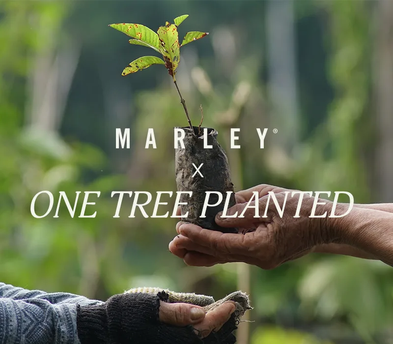 HIF-House-Of-Marley-Image-1