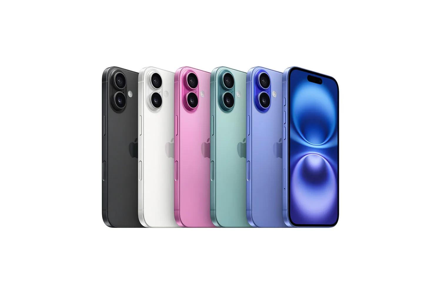 all colors flhn5cmb1t26 xlarge