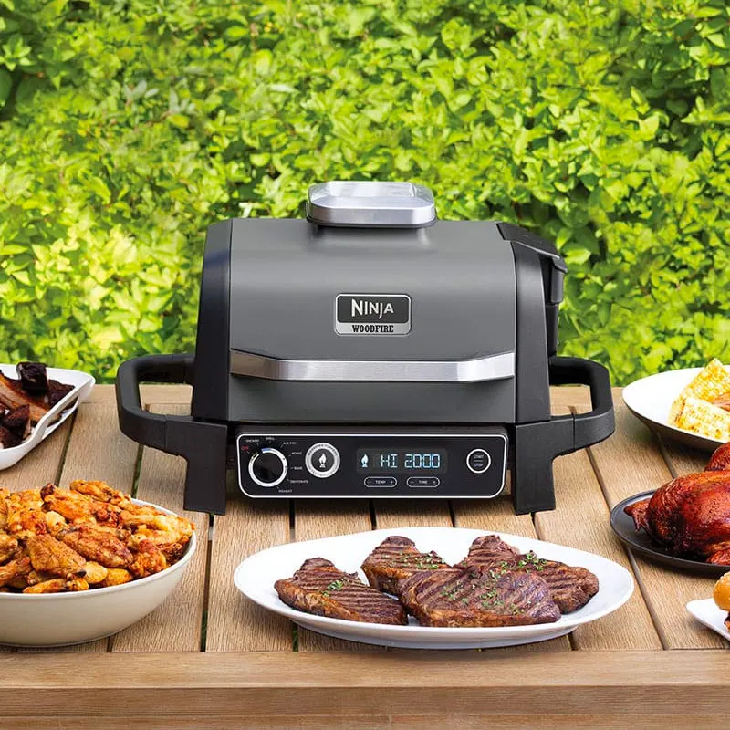 barbecue-ninja-airfryer