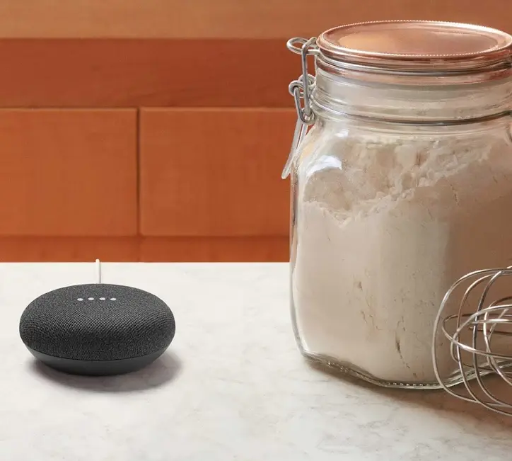 Google Nest Lifestyle