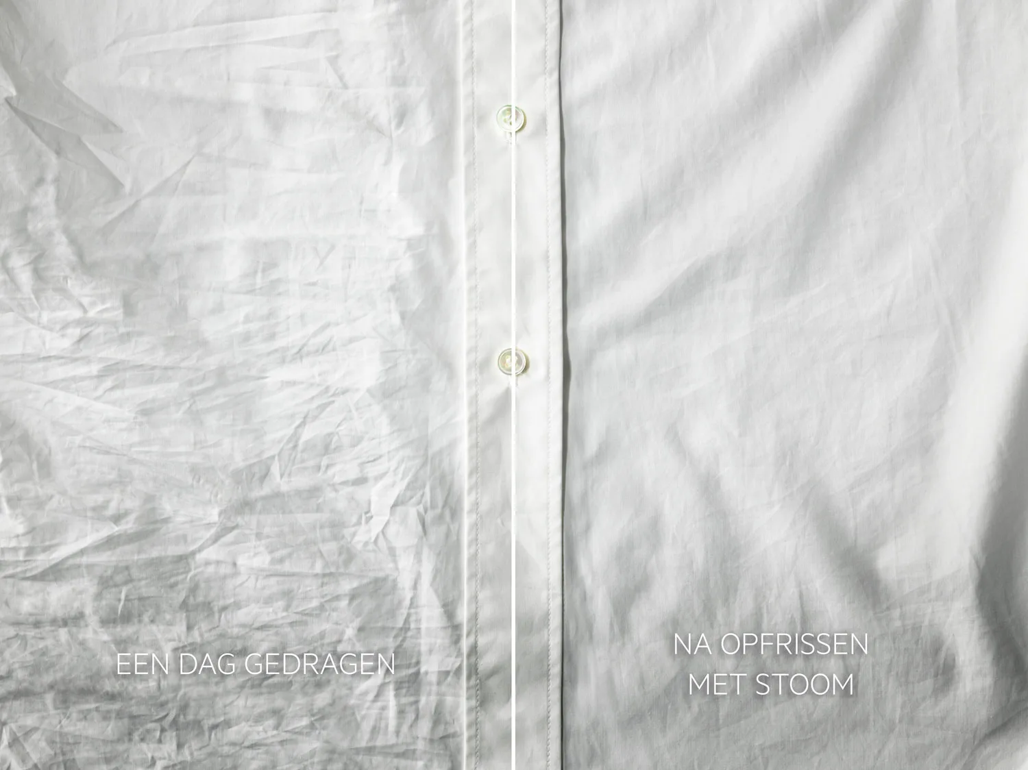 MDA-AEG-New-Launch-2023-WashDrying-ProSteam-image