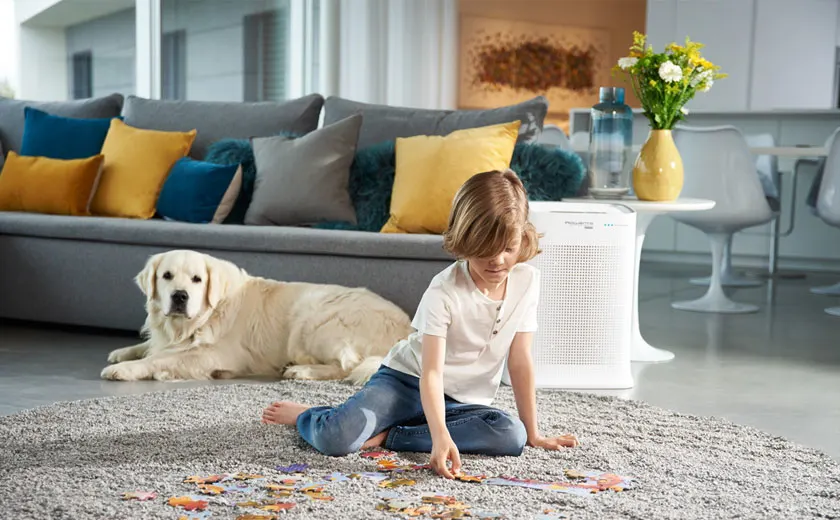 SDA-luchtreinigers-advies-slechte-geur