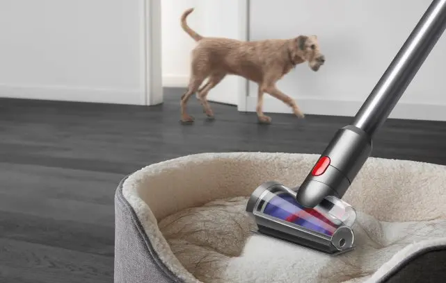 Dyson pets