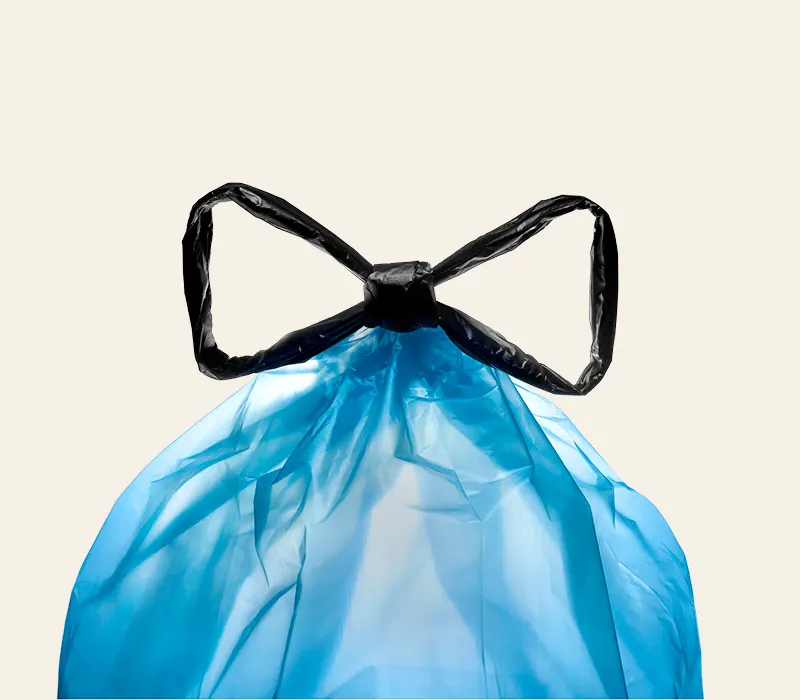 NES-13034-800x700-BLUE-BAG