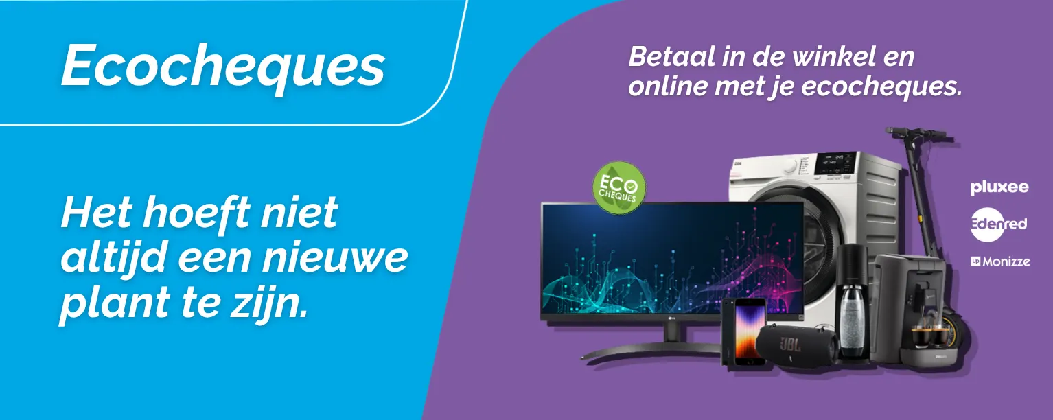 ecocheques online