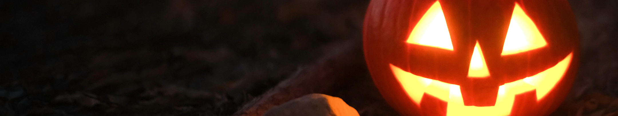 Banner wide