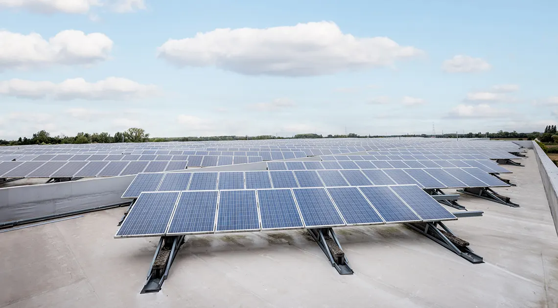 eco engagementen krefel