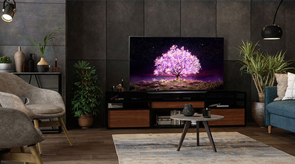 HIF-OLED-INFO-FEATURETTE1-image