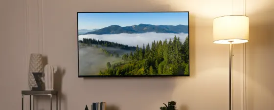 A40-B40025-tv-termen-termes-tv-banner-wide
