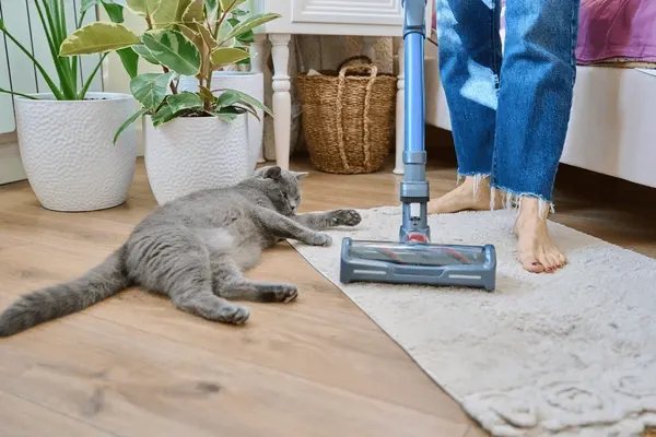 cleaning-house-vacuum-cleaner-female-600nw-2209234063