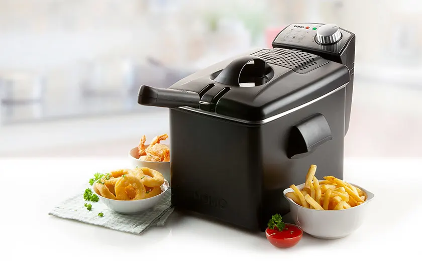 SDA-friteuses-advies-prof-friteuse