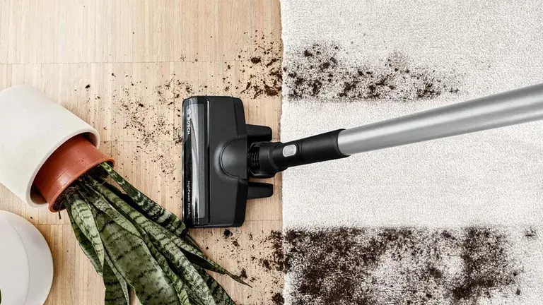 SDA-carpet-cleaning-content-featurette1-image