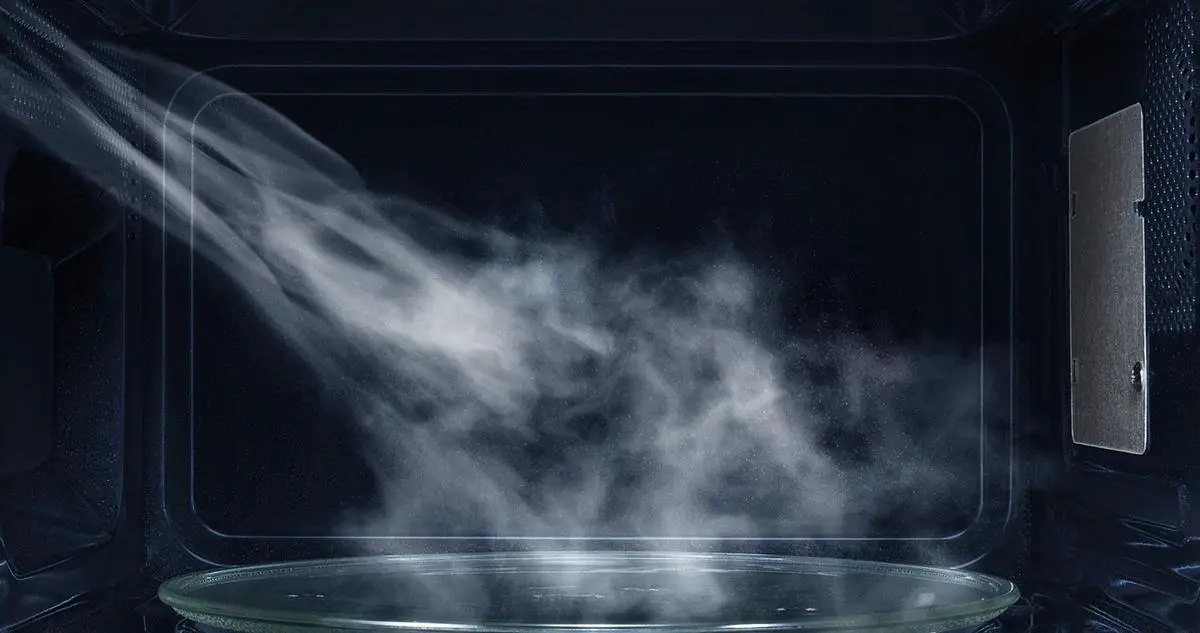 micro-ondes avec fonction vapeur
