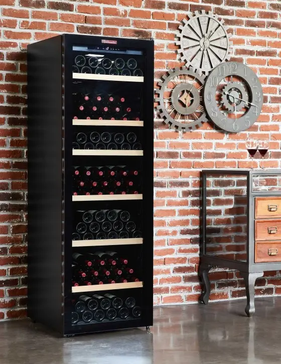 Quel cave à vin vous convient le mieux ?