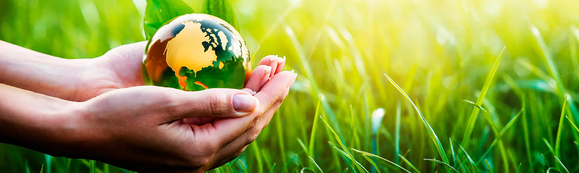 ecotrel-banner-wide