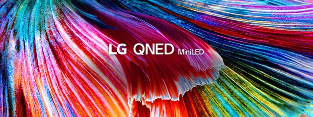 Banner LG
