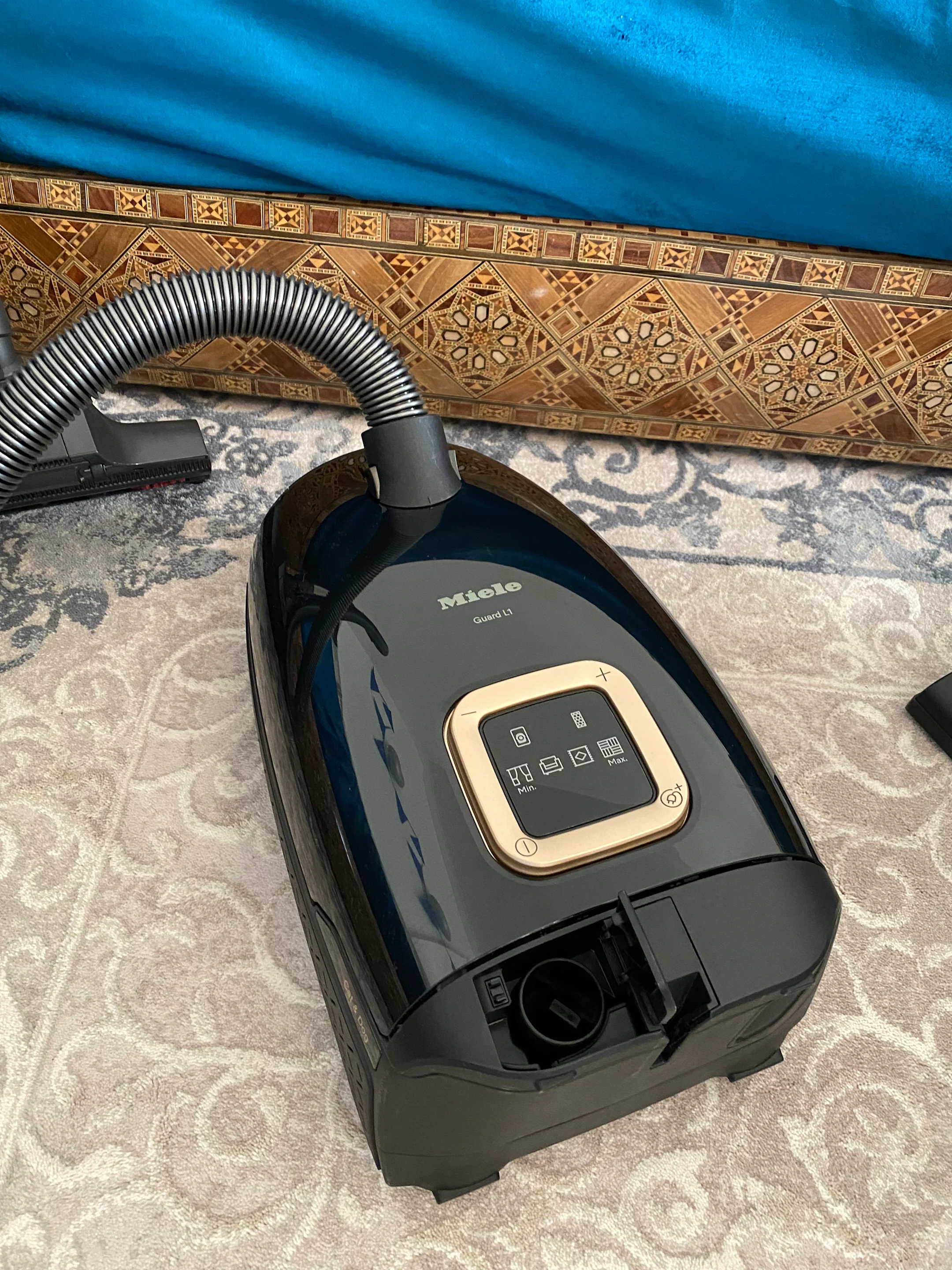 IMG 1171