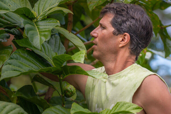 Noni Leaf The Everything Medicine by Kauai Farmacy XPT