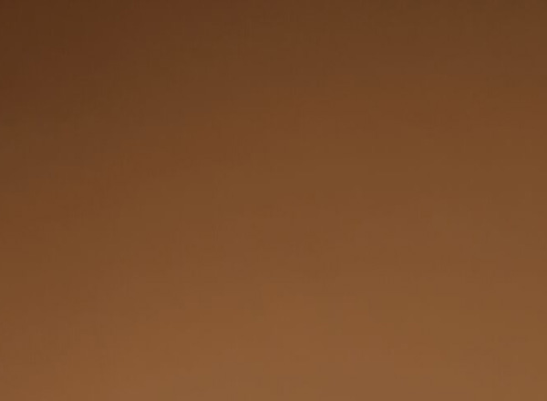 Starfsmannamynd vantar