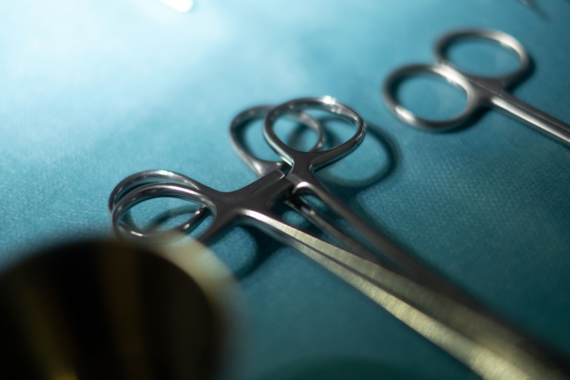 Large-Arion - Hlutamyndir DSF6014