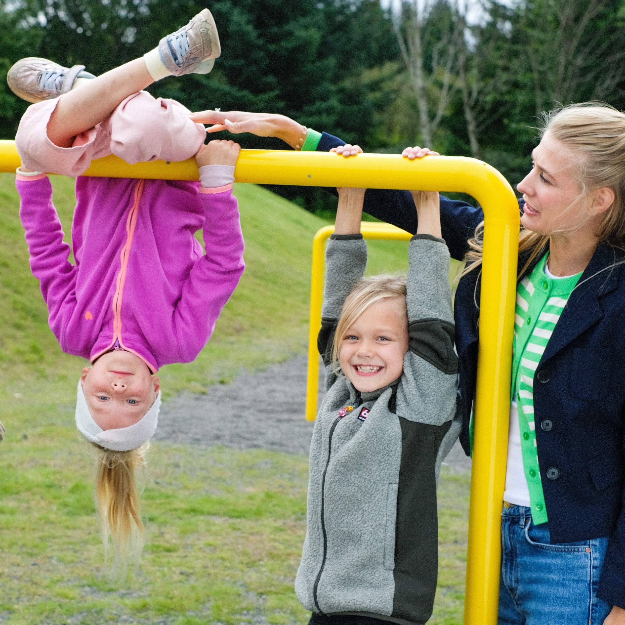 Arion Fridindi DSF3005