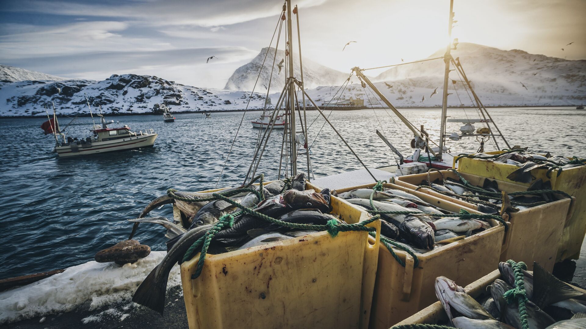 Sjávarútvegur - mynd